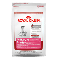 Royal Canin® Medium Starter Mother & Babydog Dry Dog Food 6 lbs. 111982