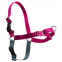 PetSafe Easy Walk Harness Raspberry & Grey I007776b