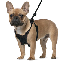 Sporn® Non-Pull Mesh Harness 17318b