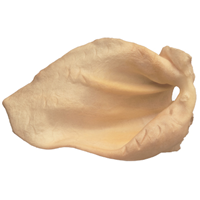 Merrick®  Beef Ear Chew Natural Dog Treat 2547