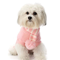 Petrageous® Designs Frosty&lsquo;s Scarf