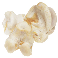 RedBarn® Natural White Knuckle Bone I001748