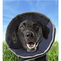 ProCone® Soft Recovery Collar I001807b