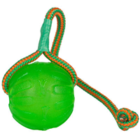 Starmark™ Swing n&lsquo; Fling Chew Ball Dog Toy I002240