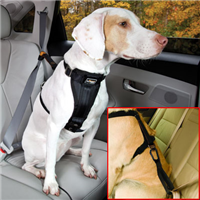 Kurgo® Vehicle Seatbelt Tether™ I002367