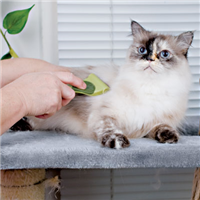 Safari® Shed Magic® De-Shedding Tool for Cats I002639