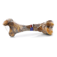 Barkworthies Smokey Femur Bone I002688