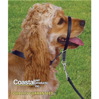 Coastal® Walk &lsquo;n Train Head Collar I003296b