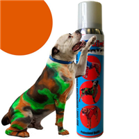 PetPaint® Colored Hair Spray and Stencil Kits I003537b