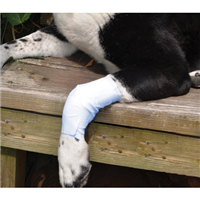 PawFlex™ Joint Bandage I004742b