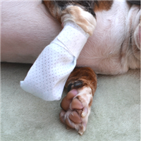 PawFlex™ Medimitt Bandage I004765b