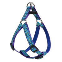 Lupine® Rain Song Pattern Step-In Harness 15" - 21". I005014