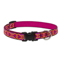 Collars, harnesses and leashes