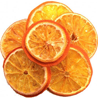 FM Brown&lsquo;s Tropical Carnival Gourmet Treat Orange Slices 1.4oz