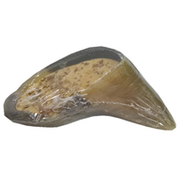 RedBarn® Filled Hoof Cheese & Bacon, 2.75 oz. Z78518450644
