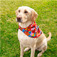 DoggieDannas® Fetch Pet Triangle Dog Bandanna 226644