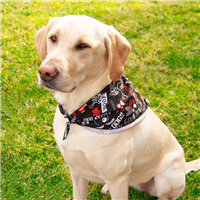 DoggieDannas® Bark Woof Woof Pet Triangle Dog Bandanna 226648