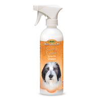 Coat Polish Spray 16 oz. 2374
