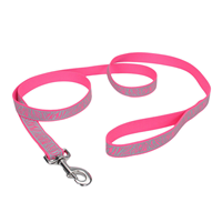 Coastal Lazer Brite Pink Zebra Reflective Dog Leash  I011634b