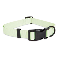 Aspen Pet® Light Green Glow in the Dark Collar and Lead I010952b