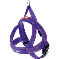 EzyDog Quick Fit Harness Purple I011087b