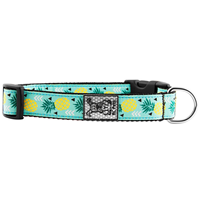 RC Pet Products Pineapple Parade Clip Collar  I011219b