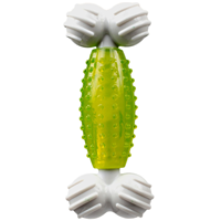 Canine Clean Spearmint Bone 5in I013283