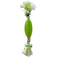 Canine Clean Spearmint Rope and TPR Tube 6” I013285