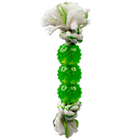 Canine Clean Spearmint Rope with TPR Balls 6.5” I013291