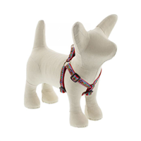 Lupine El Paso Step In Harnesses I017426b
