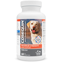 Nutramax Laboratories™ Cosequin® DS Plus MSM for Dogs 45012b