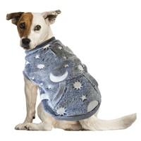 Fashion Pet Glow In The Dark Sweatshirt