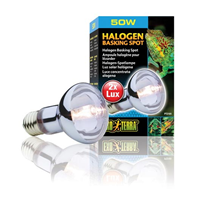 Exo Terra Halogen Basking Spot