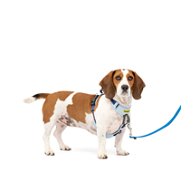 PetSafe Easy Walk Comfort No-Pull Dog Harness Blue