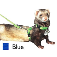 Premier Pet® 5-in-One Ferret Collar-Harness-Leash 5102e