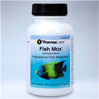Thomas Labratories Fish Mox® Amoxicillin 250 mg 3052b