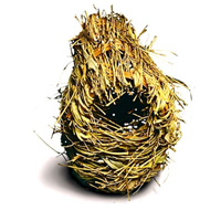 Super Pet® Nature&lsquo;s Nest Stick Finch 8043b