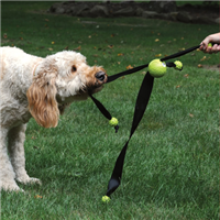 Huggle Hounds™ Seatbelt and Rubber Toys 65991b