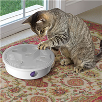 KONG Maze Craze Cat Toy