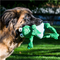 with dog