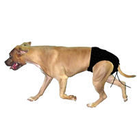 Sam&lsquo;s Dog Hut Ultimate Doggie Diaper Wraps Navy X-Small