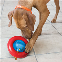 KONG Gyro Treat Dispensing Toy Large 6.5 in