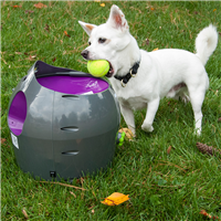 PetSafe Automatic Ball Launcher