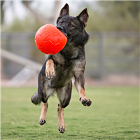 Jolly Pets Jolly Soccer Ball 6"