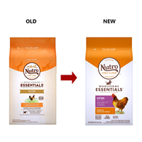 Nutro Wholesome Essentials Kitten Food Chicken & Whole Brown Rice Recipe 3 lbs.
