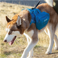 Kurgo RSG Pack Pannier  Blue