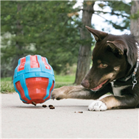 KONG Treat Spinner