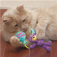 KONG Cat Occasions Birthday Teddy
