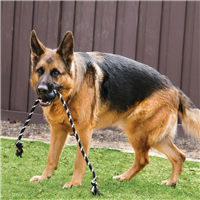 KONG  Extreme Ball with Rope Large