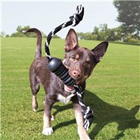 KONG Extreme Dental with Rope Medium
